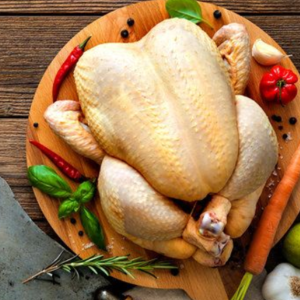 THỊT GÀ ĐÔNG LẠNH